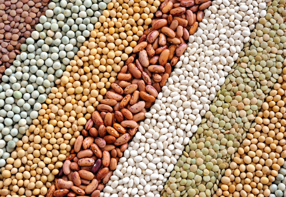 Legumes image