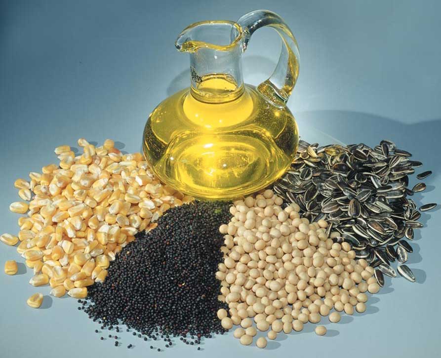 Oilseeds, spices image