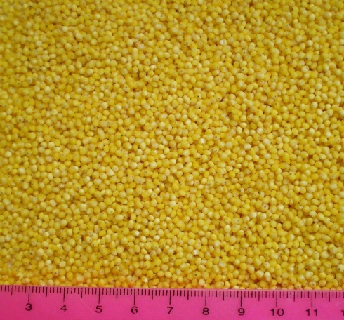 Millet groats image