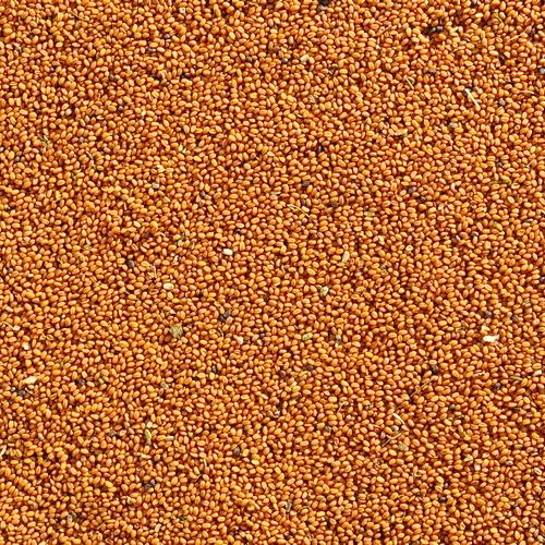 False flax seeds image