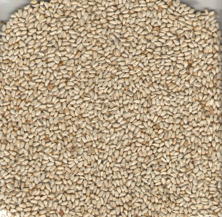 Safflower seeds (Cardy) image