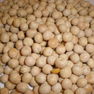 Yellow pea image